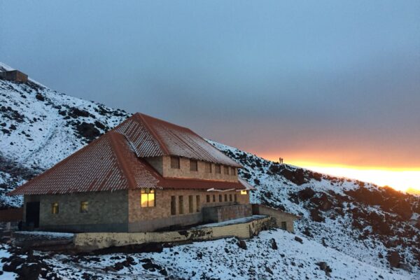 Cotopaxi National Park Day Tour