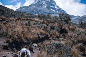 Iliniza Norte Day Tour