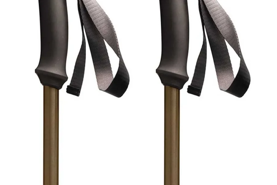 Black Diamond Trail Explorer