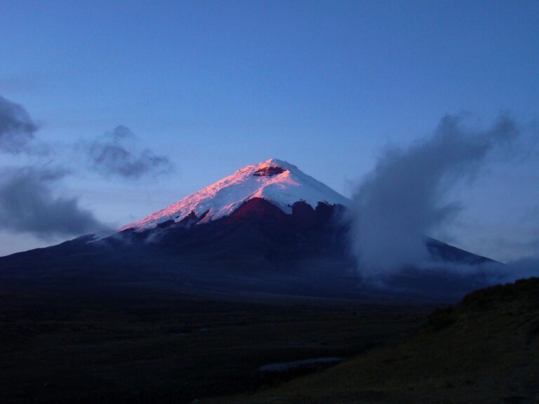 Cotopaxi National Park Day Tour - Condor Trekk Expedition Ecuador