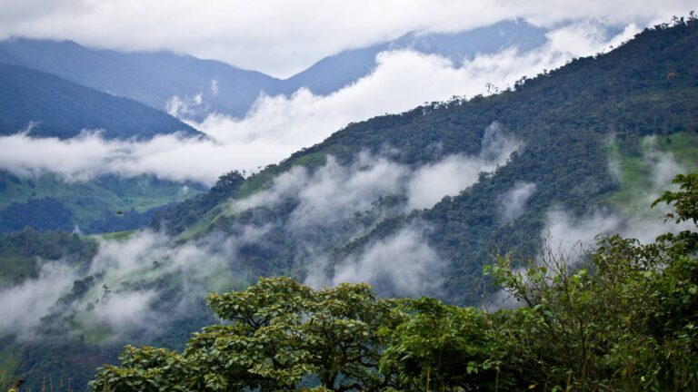 Mindo Cloud Forest Day Tour - Condor Trekk Expedition Ecuador
