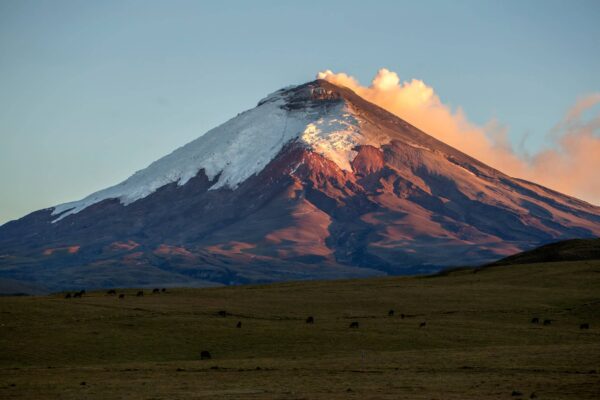 Cotopaxi Ruminahui Ecuador mountain