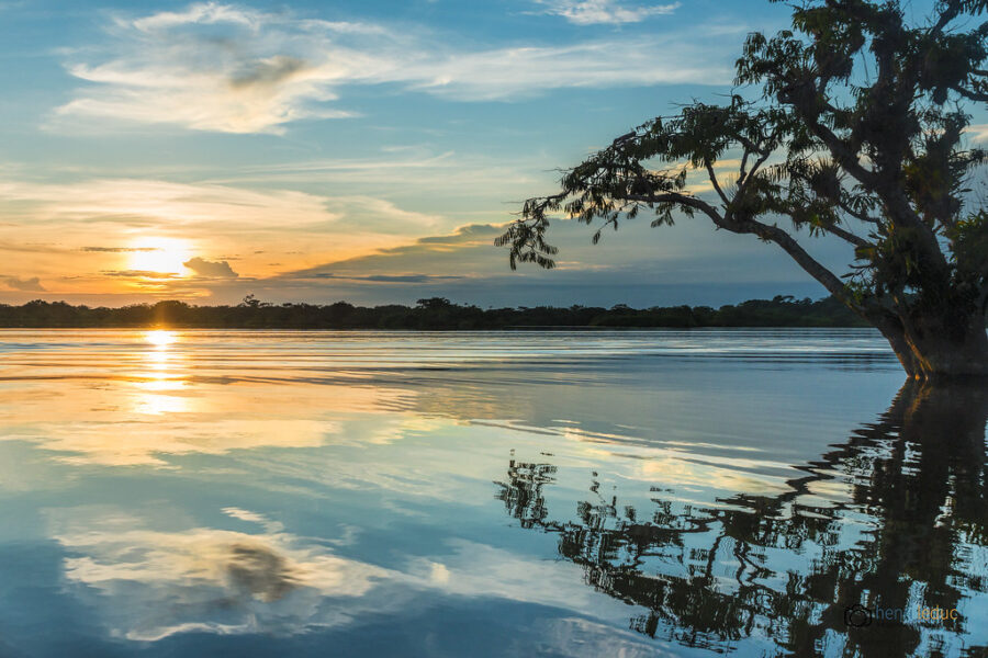 Cuyabeno laguna sunset
