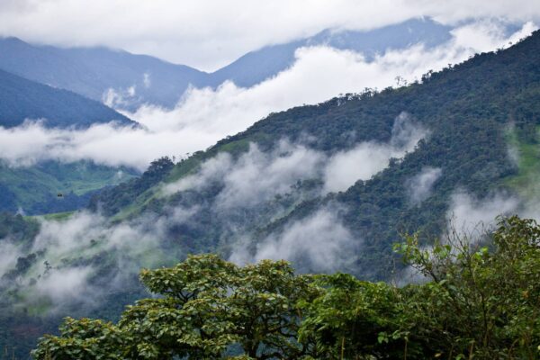 Mindo Cloud Forest Day Tour